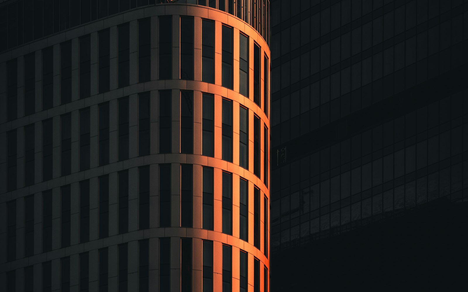 Timelight gallery